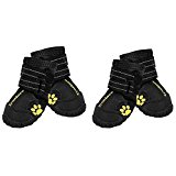 top set of pet boots